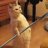 Meomup
