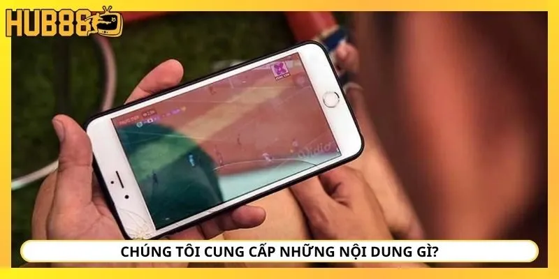 Chúng tôi cung cấp những nội dung gì?